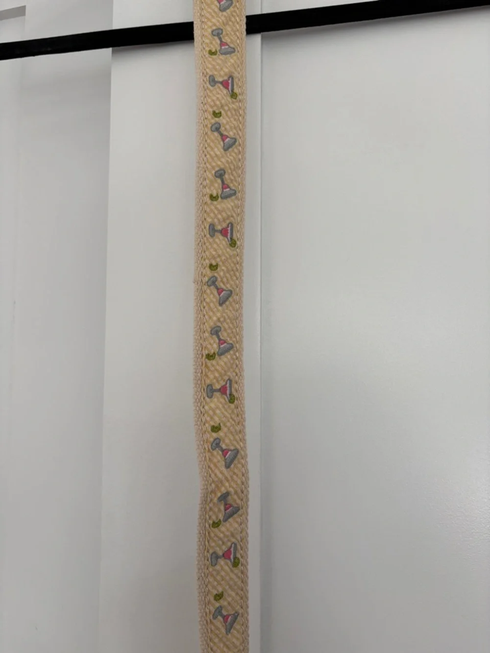 J. Crew Tan Woven Belt with Gray and Pink Margaritas and Lime Embroidered Accent - Picture 2 of 3